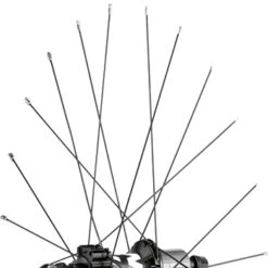 Mavic Spokes 276mm For Crossone 650b/27.5" 2014 Rear Wheels - Drive Side (12 Pieces) - 36690201 - Black