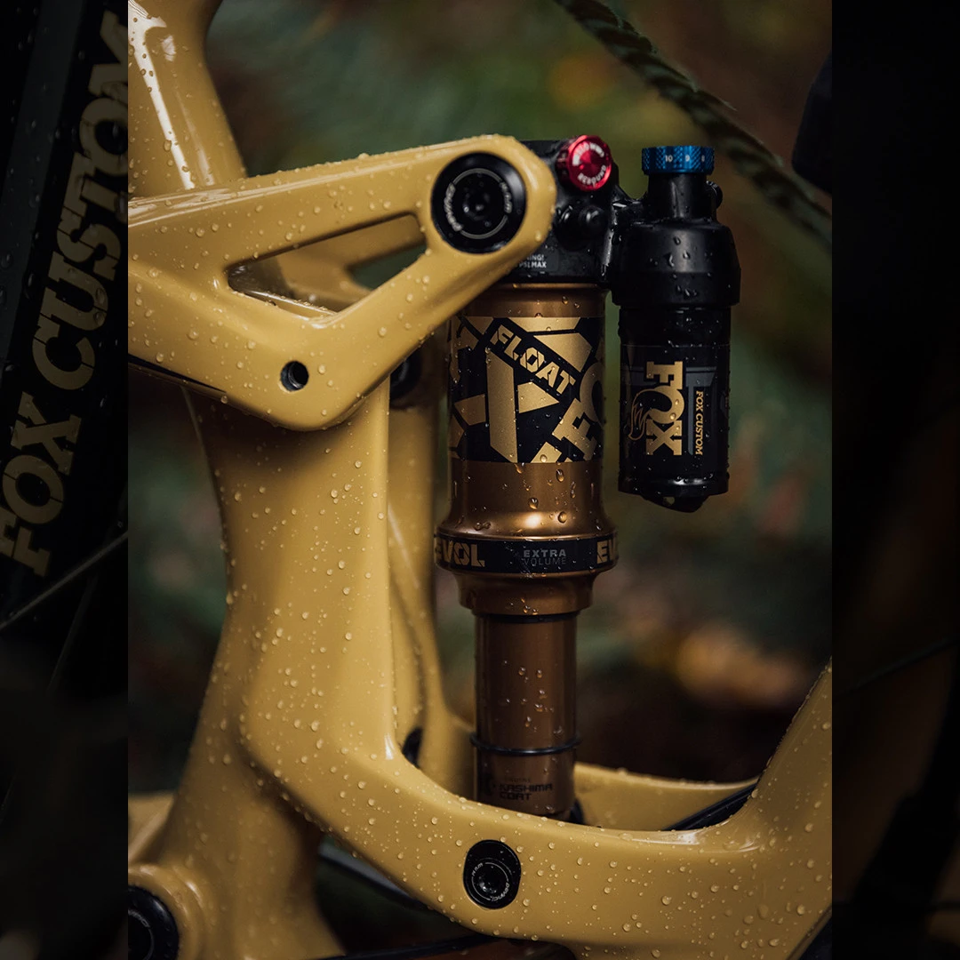 FOX CUSTOM Decal Kit For Fork & Rear Shock - Red 5 FOX CUSTOM Decal Kit For Fork & Rear Shock - Red - Afbeelding 5