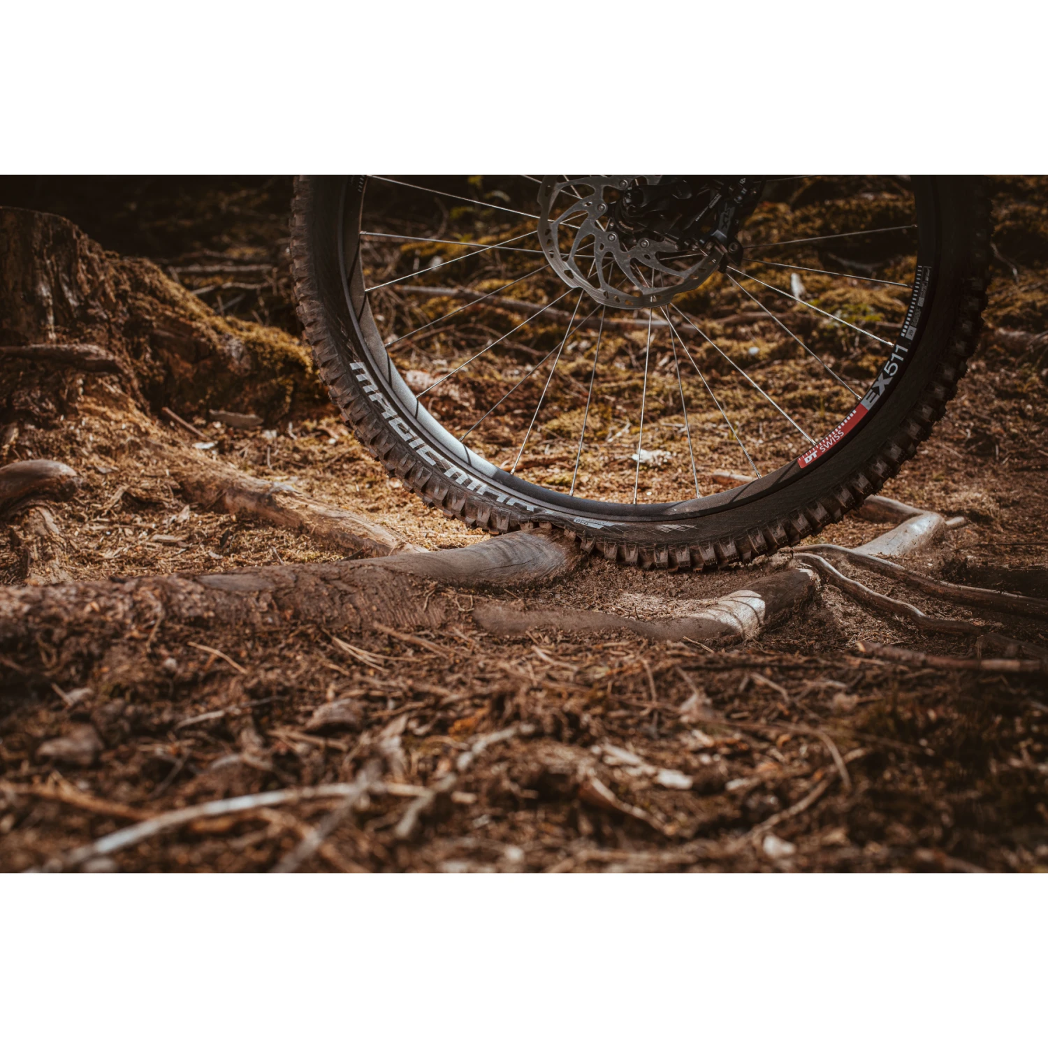 Schwalbe Magic Mary Vouwband - Evolution | Addix Ultra Soft | Super Gravity | TLEasy - ECE-R75 - 27.5x2.40" | Black 5 Schwalbe Magic Mary Vouwband - Evolution | Addix Ultra Soft | Super Gravity | TLEasy - ECE-R75 - 27.5x2.40" | Black - Afbeelding 5