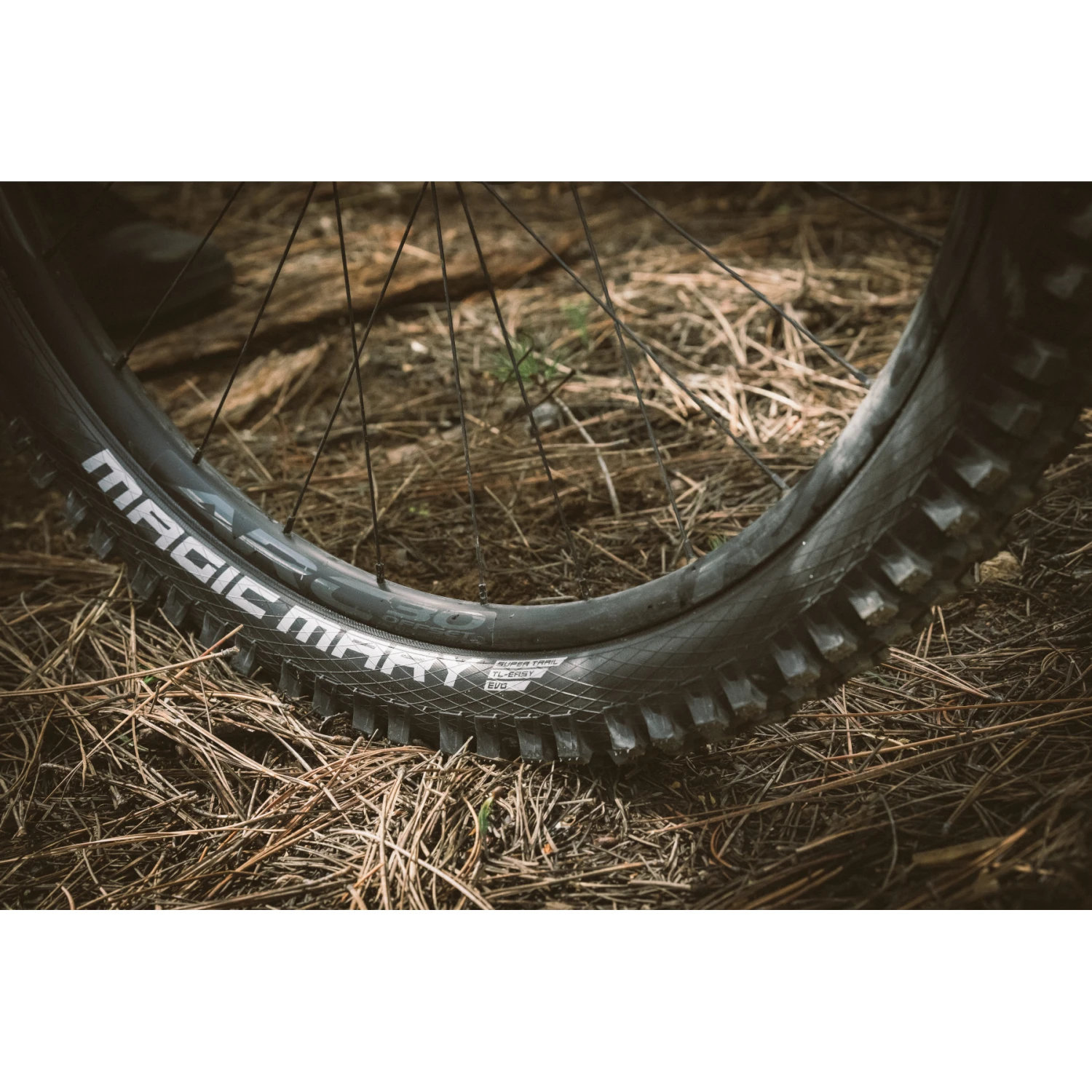 Schwalbe Magic Mary Vouwband - Evolution | Addix Ultra Soft | Super Gravity | TLEasy - ECE-R75 - 27.5x2.40" | Black 4 Schwalbe Magic Mary Vouwband - Evolution | Addix Ultra Soft | Super Gravity | TLEasy - ECE-R75 - 27.5x2.40" | Black - Afbeelding 4